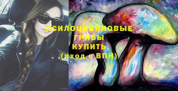 Альфа ПВП Бородино